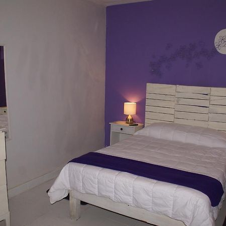 Hotelitto San Miguel San Miguel de Allende Ngoại thất bức ảnh