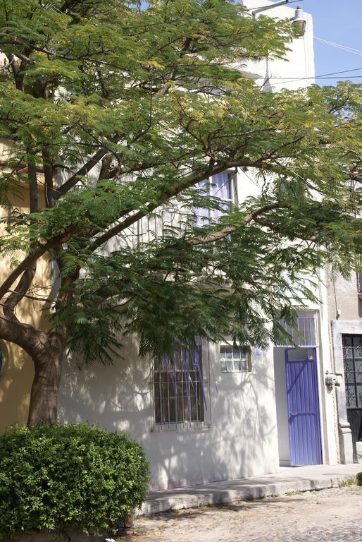 Hotelitto San Miguel San Miguel de Allende Ngoại thất bức ảnh